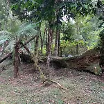 Cabana do Vale em Campos do Jordão/SP