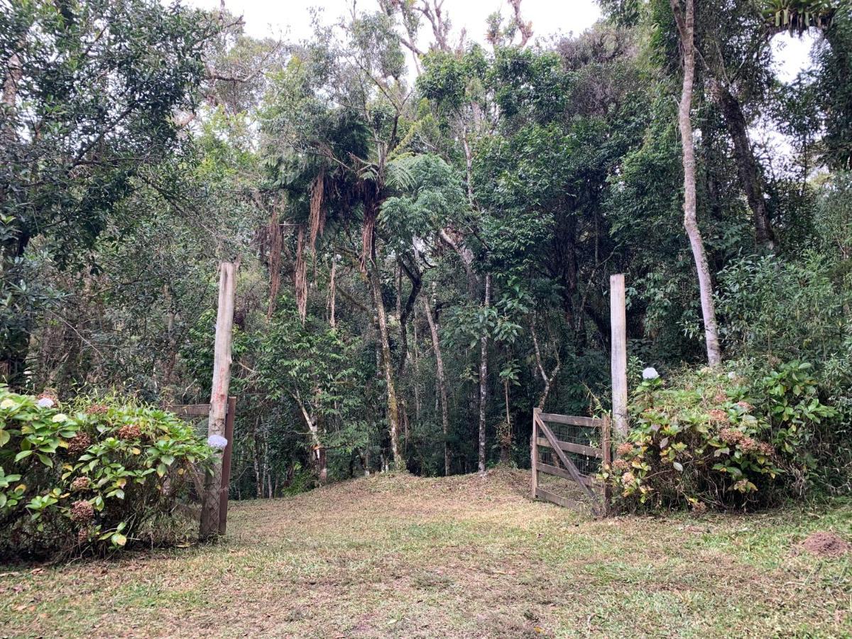 Do Vale Em Campos Do Jordao/sp Apartamento
